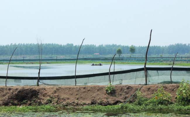 Danjiangkou, Shiyan, Hubei Province: release 