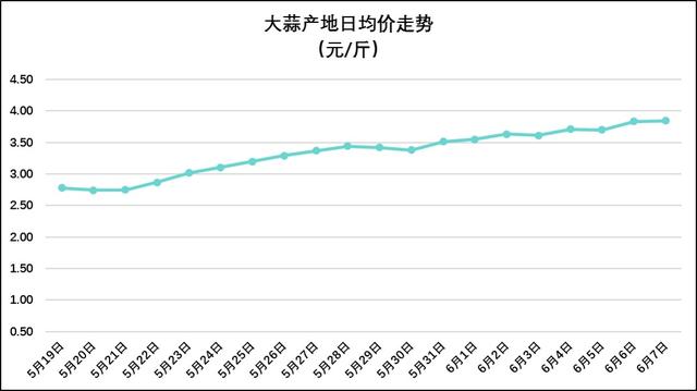 2016-6-7 garlic price market: is there any support after rising 20 days in a row?