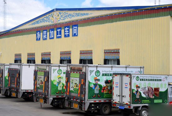 Xizang's largest agricultural batch covers an area of more than 400mu.