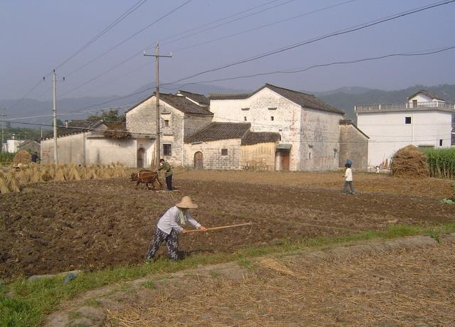 Who will farm in the countryside in the future? China's Rural Situation