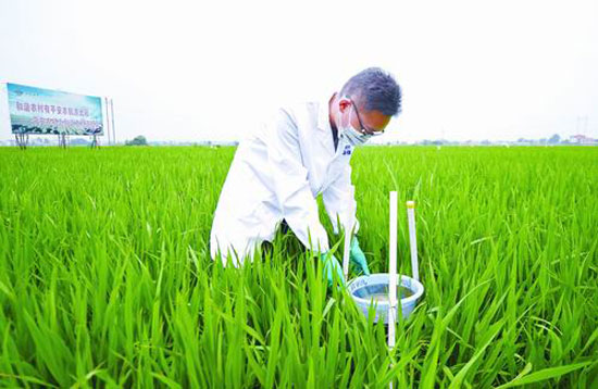 Science and technology of harmless disposal of cultivated land polluted by heavy metals