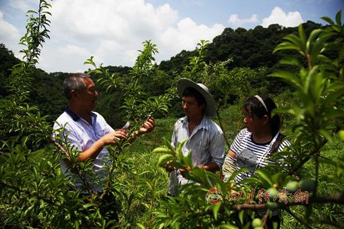 Returning to their hometown to start a business, Shanliwa leads the villagers on the road to becoming rich.