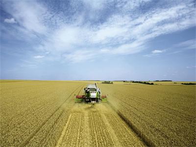 The Ministry of Agriculture has issued 20.9 billion agricultural machinery subsidies. How much did you get?