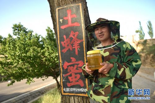 Pengyang County, Ningxia: college students build nests and lead bees back to their hometown to start a business and become rich.