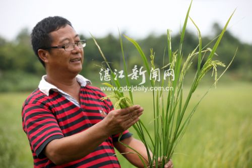 Chen Yeshi: sell houses and buy back tens of millions to pursue the dream of agriculture