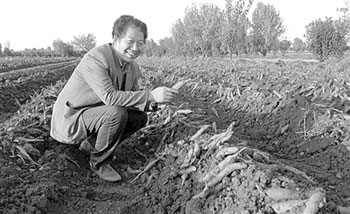 Identify the side effects of chemical fertilizer and praise the bionic green manure.