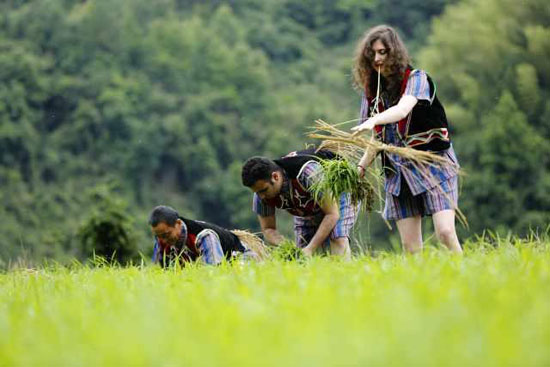 Return to manual transplanting to experience agricultural tourism