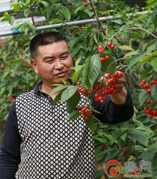 Family picking gives tourists a big 