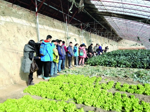 Post-80s returnees studying in France: growing vegetables with Forrest Gump Spirit