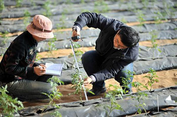 Internet + is a water conservancy fool to farm the land.