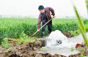 Prediction of moderate occurrence of pests in Hebei Province in the first half of the year