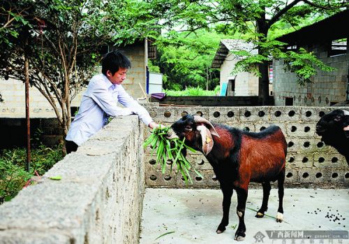 Liu Jinyuan, a disabled entrepreneur in Bobai County, makes 