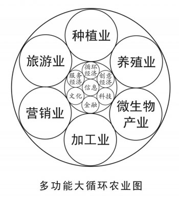 Multi-function big circulation new agricultural information play