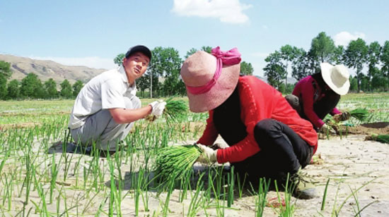 Green onions, garlic and vegetables in the open field are the best in Qinghai.