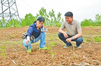 Tao Manfu, a scientific and technological cadre, helps the poor and takes measures in accordance with local conditions.