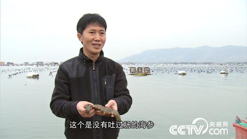 Behind the risk of harvesting sea cucumbers in large quantities