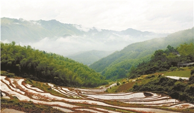 Tsinghua graduate students go back to their hometown to set up ecological agriculture, and the income of the villagers has greatly increased.