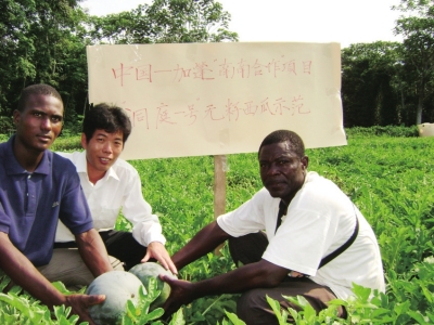 Wang Anhua: sowing the seeds of agricultural technology in Africa