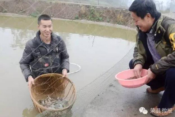 How does the young man in Rong County, Sichuan get rich by raising Loach families?