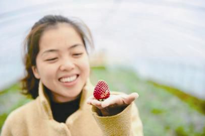 She sells strawberries while she picks them.