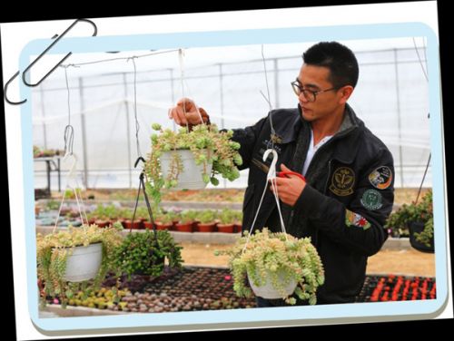 Baiquan Town, Zhejiang Province: young people return to their hometown to plant succulent plants and open up new ways to get rich.