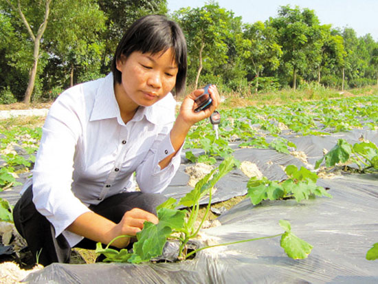 Girls who return to their hometown to work in Jiangmen have earned hundreds of millions of yuan this year.