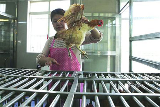 The price of live poultry slaughtered in Shanghai did not rise in May and few people bought it.