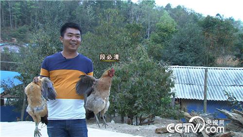 Duan Biqing: the boy who will make money comes to the border village.