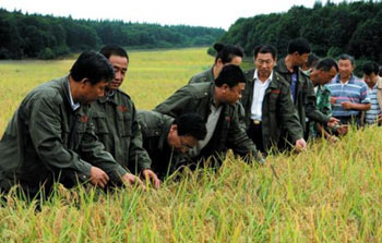 Transfer land to grow rice blindly try to break into a big supermarket