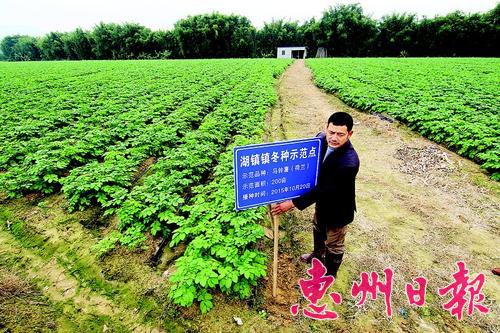 Half way to become a monk and grow potatoes to drive villagers to become rich