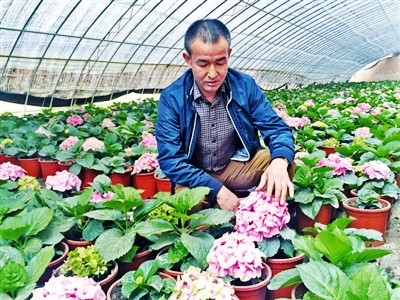 Tian Fengjiang: help the villagers to take the road of modern agriculture together