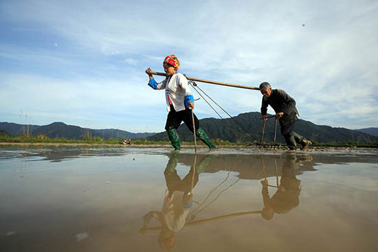 Guilin terraced fields have been cultivated for more than 700 years