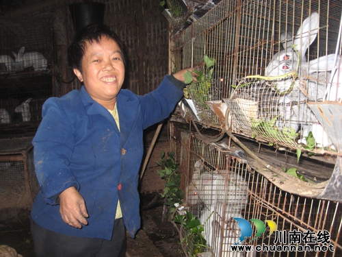 The village director precisely helps women with severe disabilities to raise rabbits to get rich.