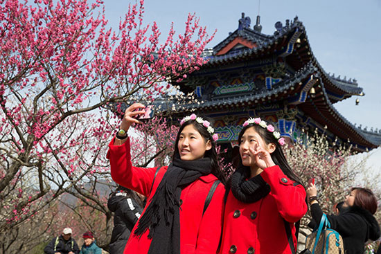 The scenery of the south is bright in spring among the flowers.