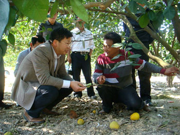 Why is pomelo so sweet? the Academician's recipe is really valuable.