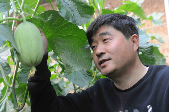 Traditional farming melons and vegetables are favored by people.