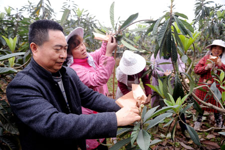 Liu Guanquan: the leader of villagers getting rich