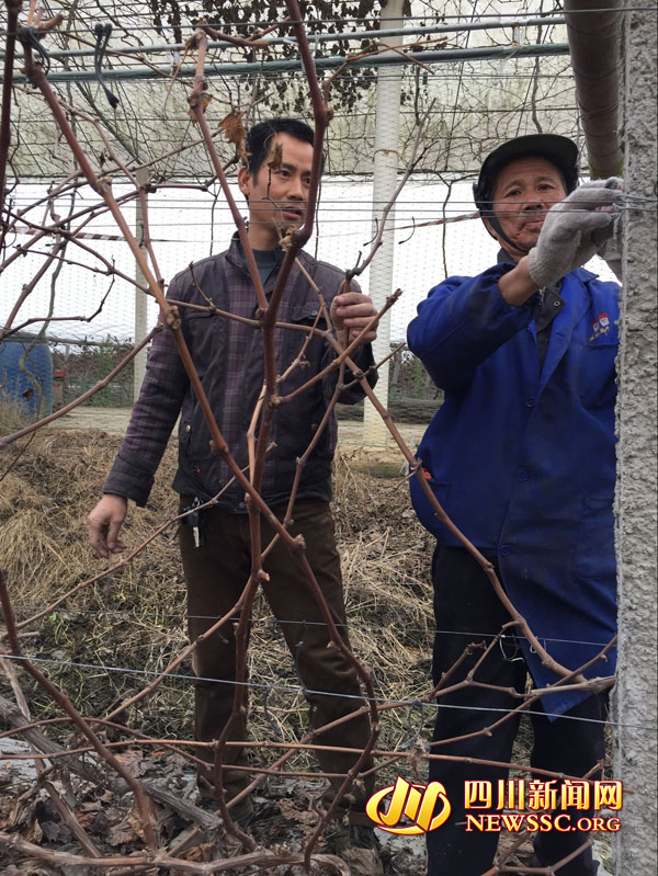 Xiao Hong Jian earned tens of millions of migrant workers in Xinjin County Chen Weihong's 