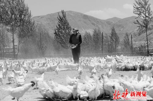 Beijingers are expected to eat Nimu Tibetan eggs next year.