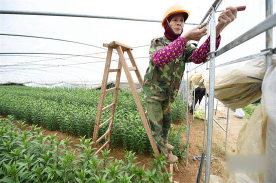 Anti-cold and anti-freezing in Fujian to deal with strong cold air