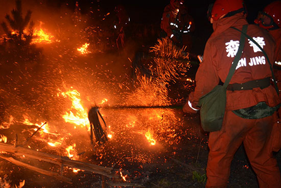 The fire in the mother tree forest area of Pinus sylvestris var. mongolica in Inner Mongolia was put out successfully.