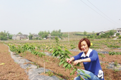 Li Hongmei: a female Master of Tsinghua University rooted in Wusheng barren Mountain