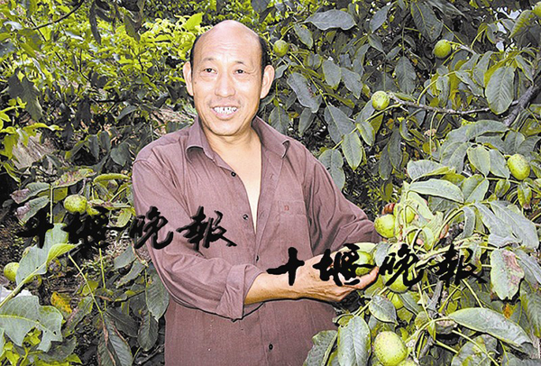 Li Xingsheng: the Walnut King who leads the villagers to become Rich