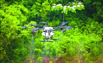 Returnees from Lianzhou return to their hometown with drones to specialize in pest control