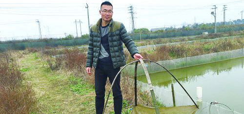 Wang Haizhi, Jinhua, Zhejiang: raising Loach after 85 to build an entrepreneurial dream