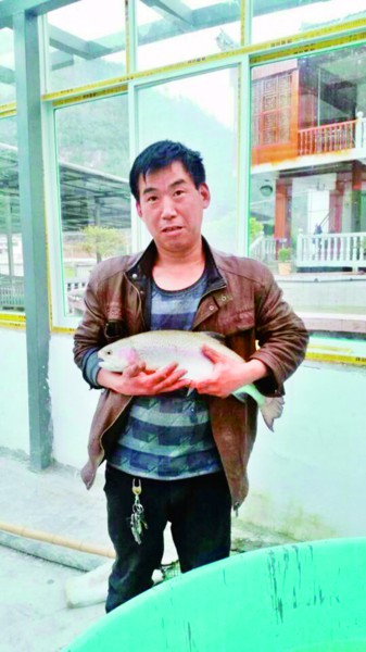 The value of farmed salmon from many mountainous areas in Hubei has quadrupled.