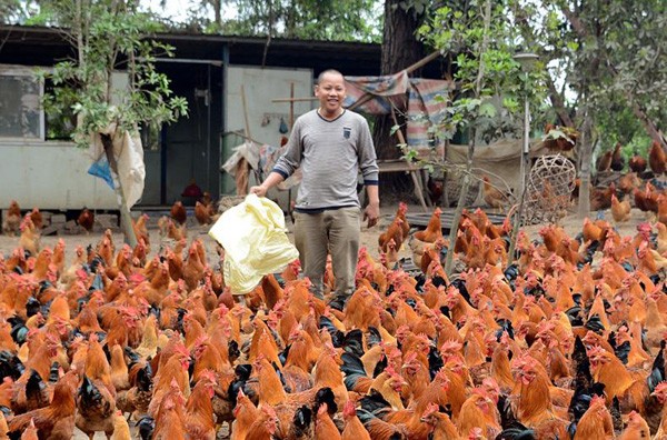 Longzhou, Guangxi: returning migrant workers start a business and become a 