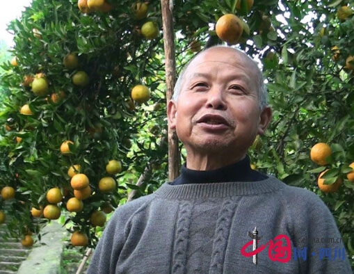 Xu Wen, the leader of getting rich in Zhu de's hometown, led the villagers on the road of citrus development.