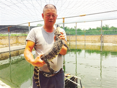 The stories of Kang Zhiyong and the crocodile