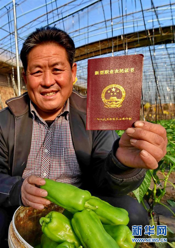 Hebei Julu: farmers take a new road to wealth with a license